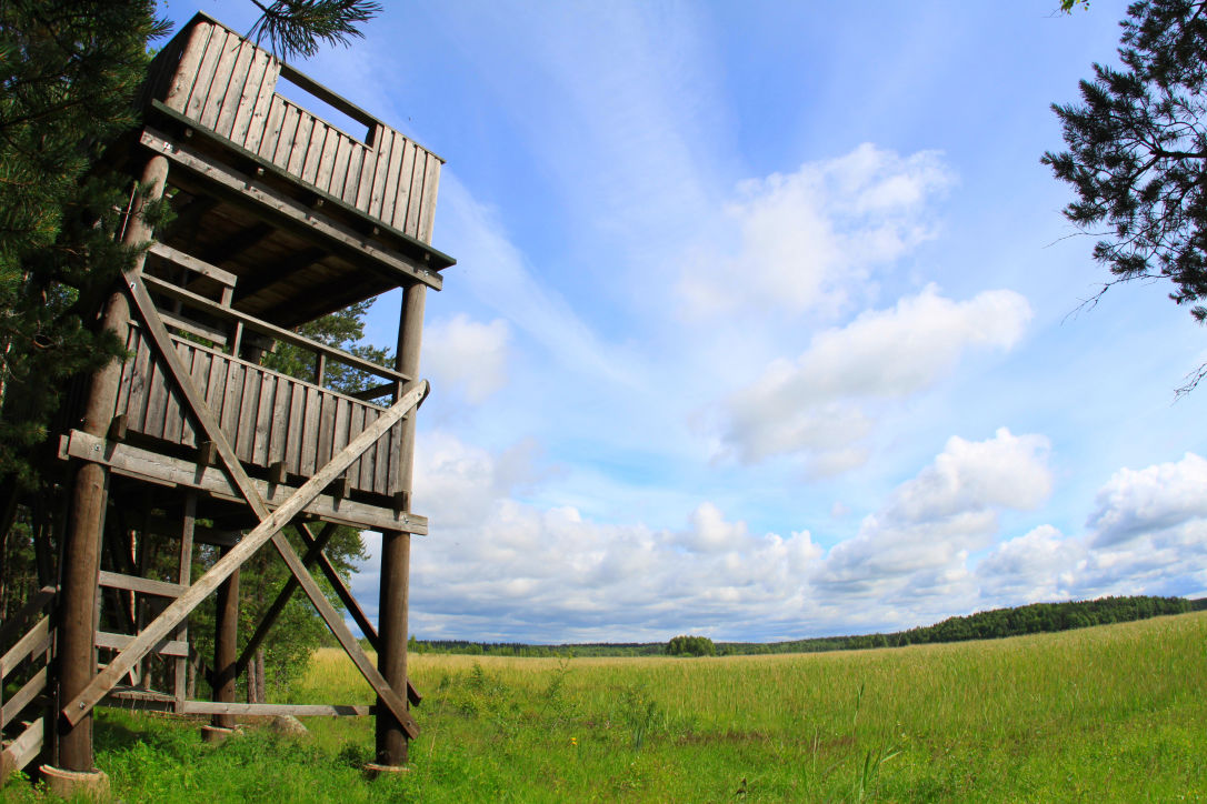 Otajärven lintutorni